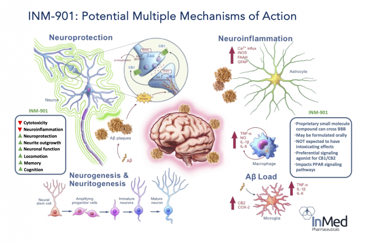 InMed INM-901 MOA Alzheimer's Pathology